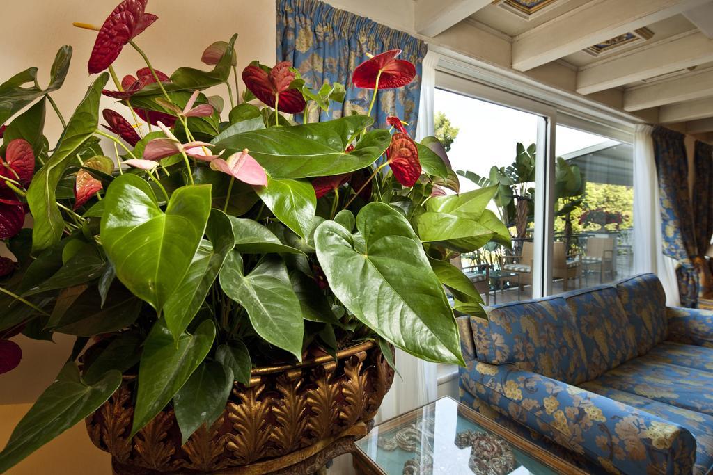 Excelsior Belvedere Hotel & Spa Ischia Exteriör bild